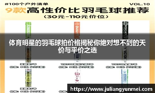 体育明星的羽毛球拍价格揭秘你绝对想不到的天价与平价之选