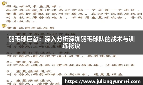 羽毛球巨献：深入分析深圳羽毛球队的战术与训练秘诀