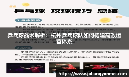 乒乓球战术解析：杭州乒乓球队如何构建高效运营体系