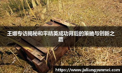 王娜专访揭秘和平精英成功背后的策略与创新之路