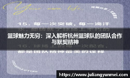 篮球魅力无穷：深入解析杭州篮球队的团队合作与默契精神